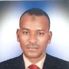 Loay Ahmed Mohammed Ahmed Kikha, المدير التنفيذى