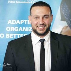 محمد هشام, Internal Auditor