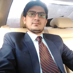 Muhammad Faizan Alavi