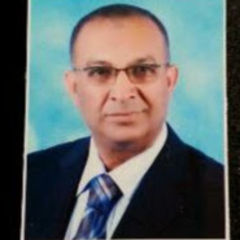 Emad Aldin Ibrahim Mohammed Abdelwahid, head and consultant physician