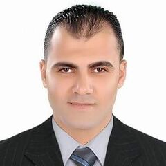 ALY Gamal Gaber Eish, Procurement Officer