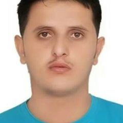 وائل محمد صغير صالح صالح, مهندس موقع