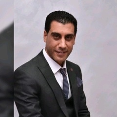 ثامر ابو الزينات, Application Developer