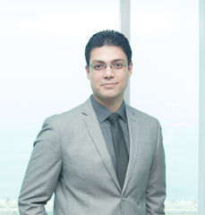Ahmed Elnagar, Software Developer