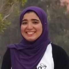 مها عبد الناصر الريس, programming language