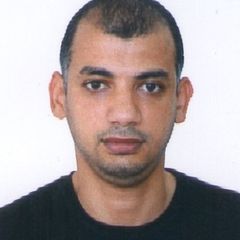 محمد أمين سكة, محاسب