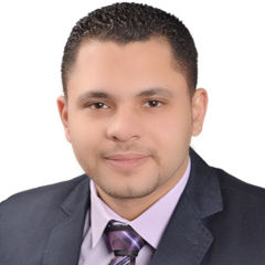 Mohamed Elbasuny, sales executive