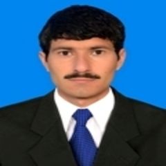 Naeeem Abbas, As Accountant