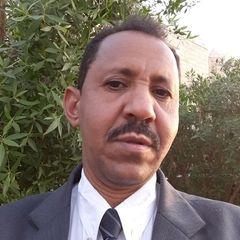 Eltagi Abdalla Mohammed Abdalla, Assistant Professor