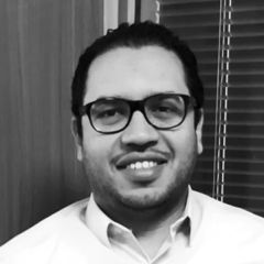 Abdelsalam Mustafa Mohamed Hassan Mustafa, Senior IT Application Developer