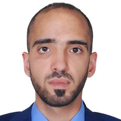 Hisham Ghanem, Business development manager 
