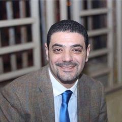 Walid Abd El Hamid Abd El Hamid, Executive manager