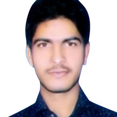 julfkar Malik, Cyber Security Analyst