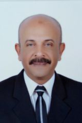 mohamed hefni