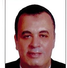 hany soliman, financial manager
