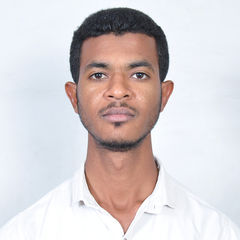 حسام الدين عباس محمد شريف حسن, Software Engineer 