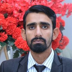 Hussain Iqbal, Computer Operator