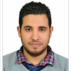 Mahmoud  Fadil, Civil Site Engineer