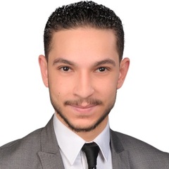 Mohamed Abdelmageid, محاسب عام