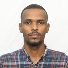 سامح محمد عثمان  محمد نصر , Application Support Engineer