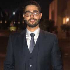 Ahmed Wafa, Investment Team Leader