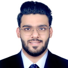 Rabi Syed, oracle functional consultant