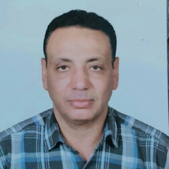 Islam Ahmed Mohamed Salem Darwish Darwish, مدير نظم تكنولوجيا المعلومات والاتصالات