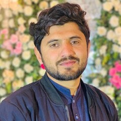 Muhammad Adeel  Shahbaz 