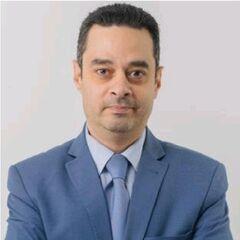 محمود علام, Marketing Consultant