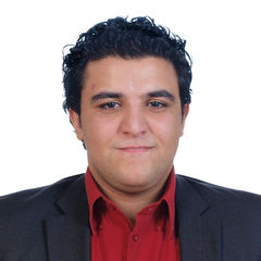 أحمد محمود, System Engineer/Project manager