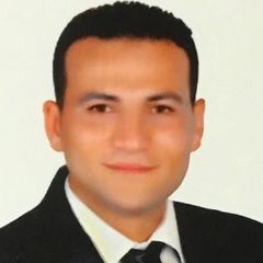 محمد حسن شعيشع, Project Manager (MBA®, PMI- PMP® & BSc-Civil)