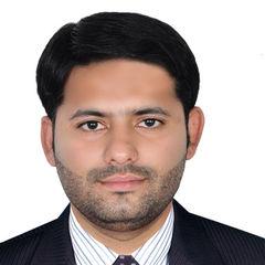 Qari Sadaqat  Ali, Senior Accountant