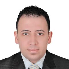 محمد رضا, IT Consultant