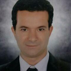 Amr Hamed Nasr  Balbaa, Consultant Engineer