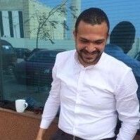 Ramy Adel ELFaraskoury, Internal audit, fraud and risk management consultant