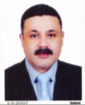sherif fouad elfakharany, Chief Information Officer / Chief Technology Officer / Director of Technology/ IT Consultant