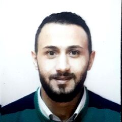 حازم محمد أبو شندي, Financial Manager