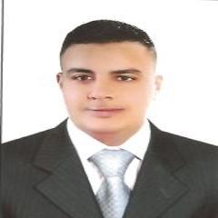 محمد محمد حسنين عبادى, sales executive