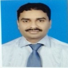 Abdul Kalam, IT Specialist