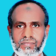 Tag Eldin Ahmed, General surgeon 