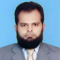 Hafiz Muhammad Irfan Hashmi, SAP-FICO Support Assistant
