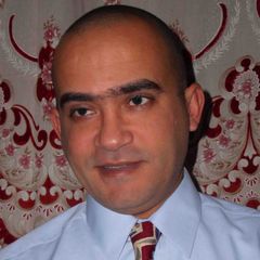 محمد حسنى, Technology Consultant