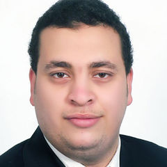 محمد عبد الرحيم حسين حسنين, مدخل بيانات