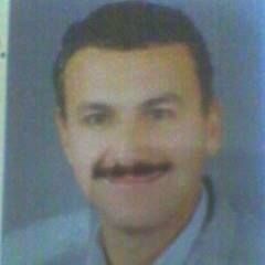 usama mosad abd elhamed shams eldin shams eldin