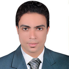 tarek elsayed abdallah elzaloaa