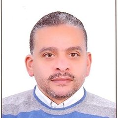Emad el-Din Mohamed el-Sayed Elsayed, Project Document Control Manager