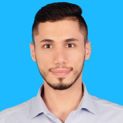 Yasser Khalil, Teaching Assistant (TA)