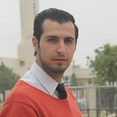 Ali batayneh, Sales assistant