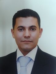 Younis Alomoush, System Architect