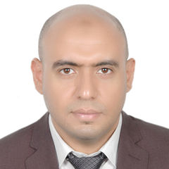 Mahmoud   Gabr, Consultant
